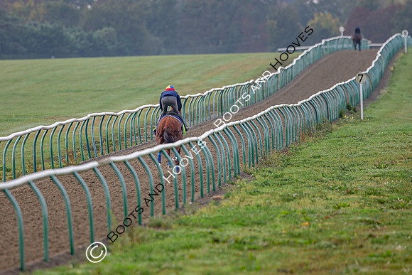 Newmarket