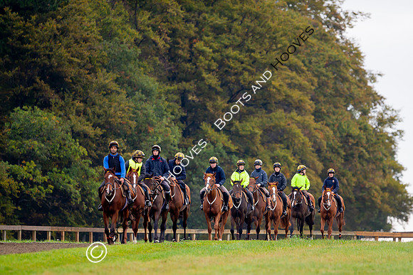 Newmarket