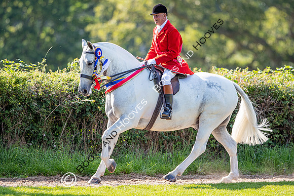 The Prenetics Royal International Horse Show