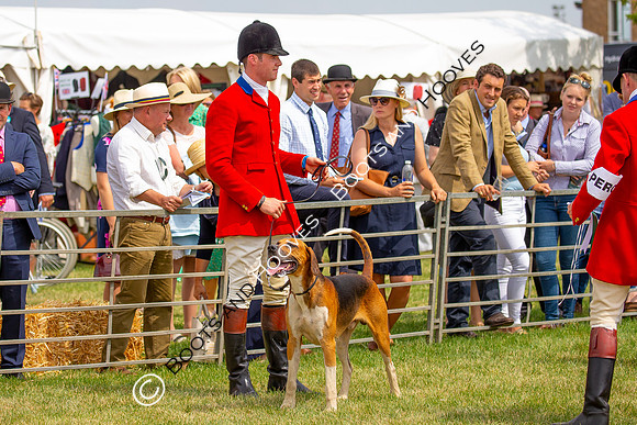 Festival of Hunting