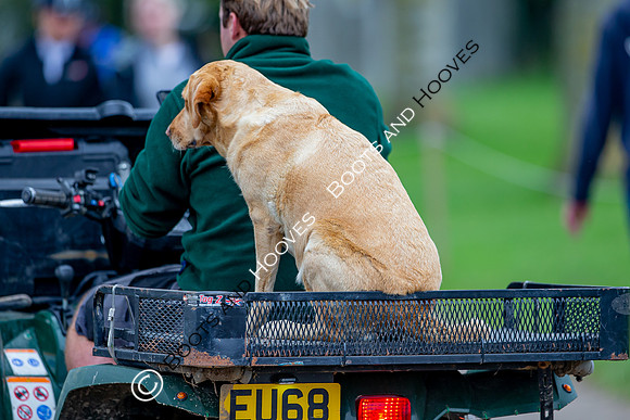 Science Supplements All England Jumping Championships