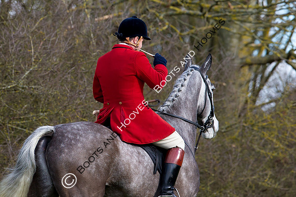 Hunting