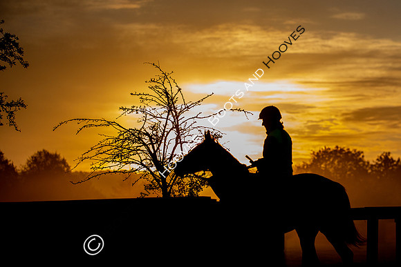Newmarket