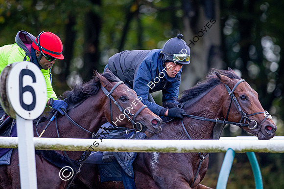 Newmarket
