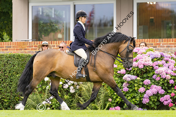 The Agria Royal International Horse Show