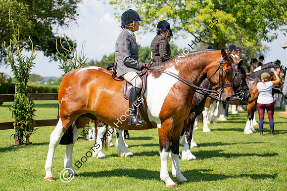 The Prenetics Royal International Horse Show