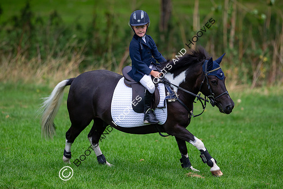 Science Supplements All England Jumping Championships