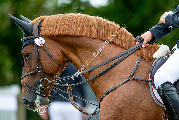 Science Supplements All England Jumping Championships