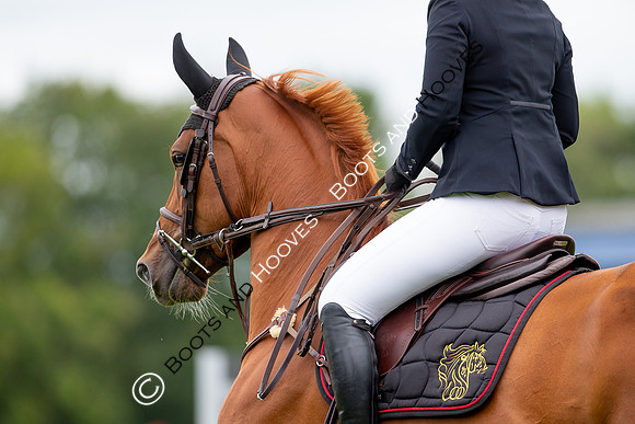 Science Supplements All England Jumping Championships