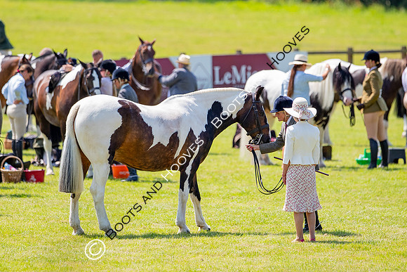 The Prenetics Royal International Horse Show
