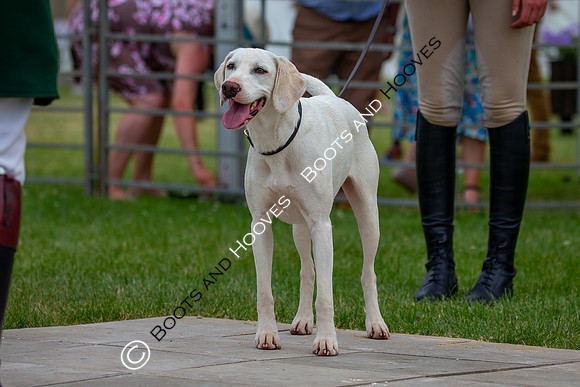 Festival of Hunting