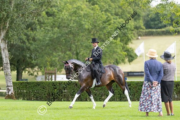 The Royal International Horse Show