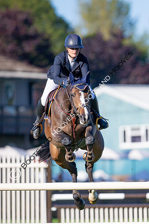 Science Supplements All England Jumping Championships