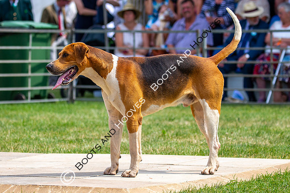 Festival of Hunting