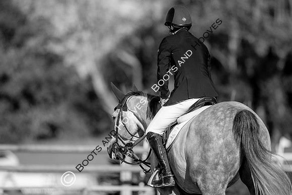 Science Supplements All England Jumping Championships
