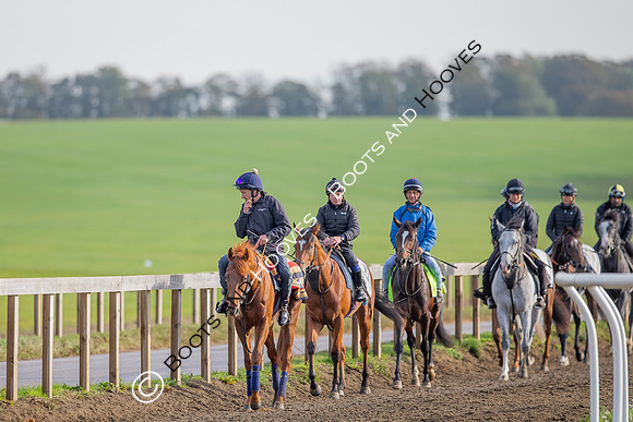 Newmarket