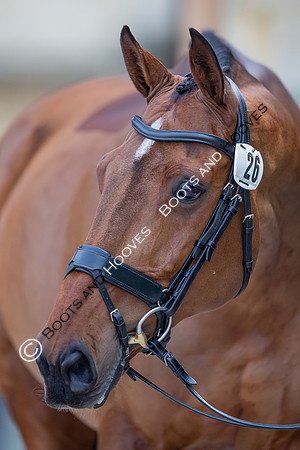 Badminton Horse Trials