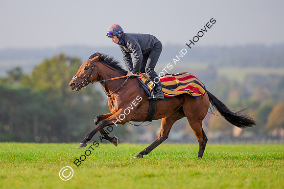 Newmarket