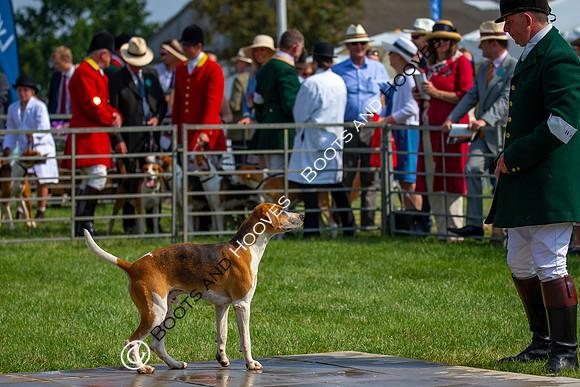 Festival of Hunting