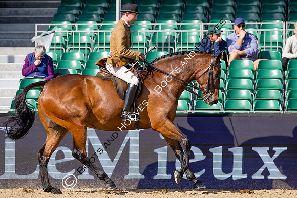 Royal Windsor Horse Show