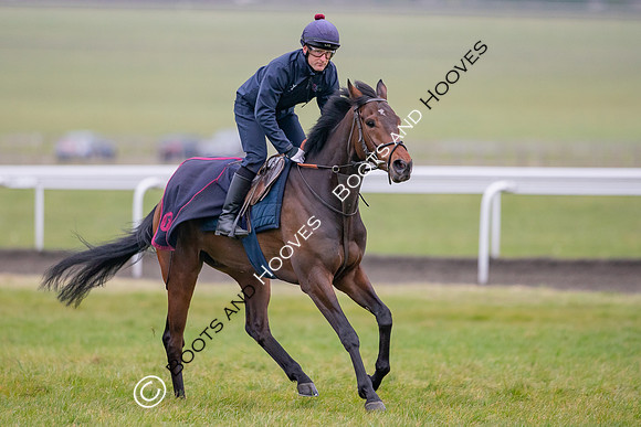 Newmarket Gallops