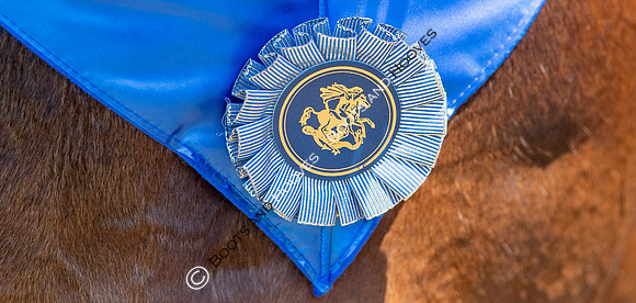 The Prenetics Royal International Horse Show