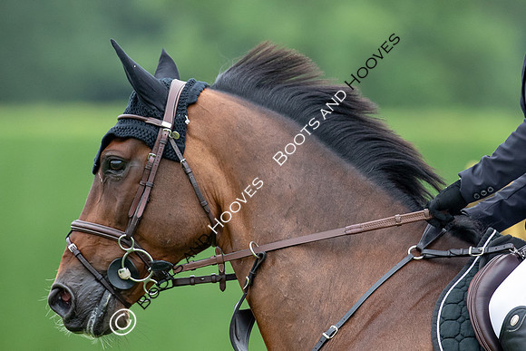 The Prenetics Royal International Horse Show