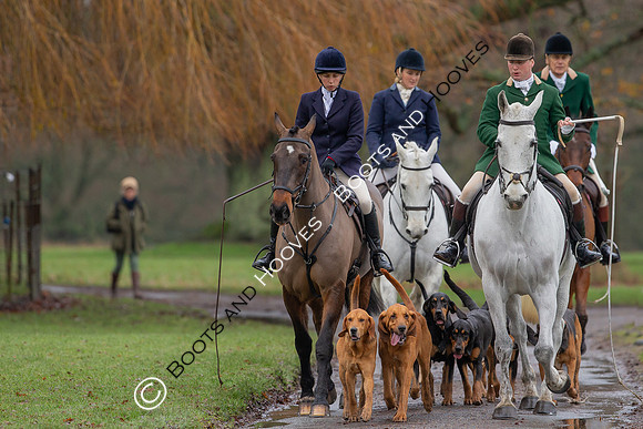 Bloodhounds