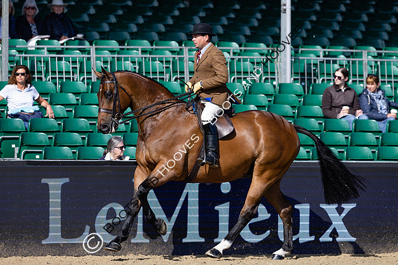 Royal Windsor Horse Show