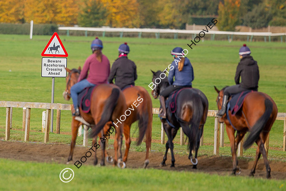 Newmarket