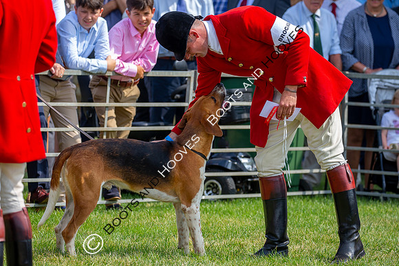 Festival of Hunting