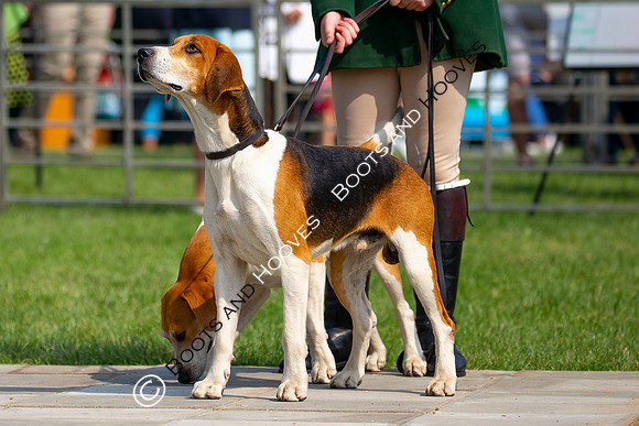 Festival of Hunting