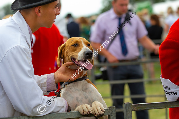 Festival of Hunting