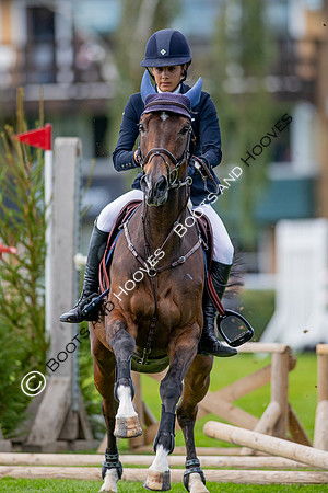 Science Supplements All England Jumping Championships