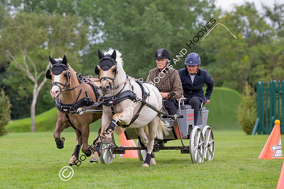 The Prenetics Royal International Horse Show