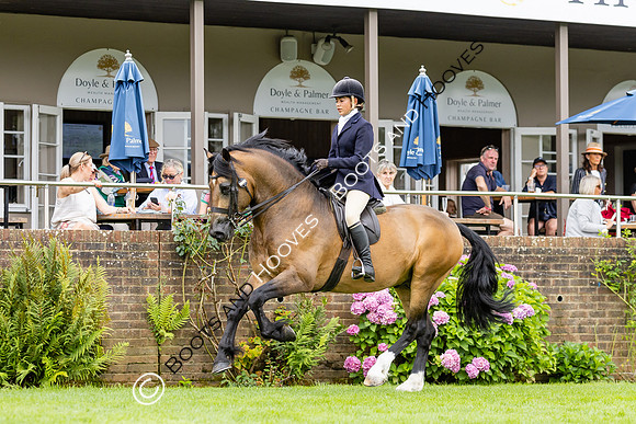 The Agria Royal International Horse Show
