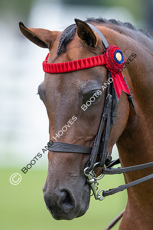 The Prenetics Royal International Horse Show