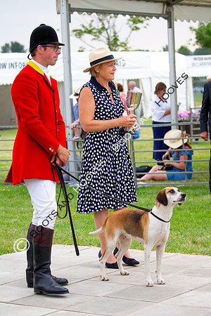 Festival of Hunting