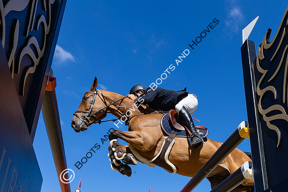 The Al Shira'aa British Young Horse Championships