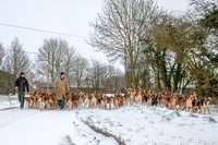Hound Exercise