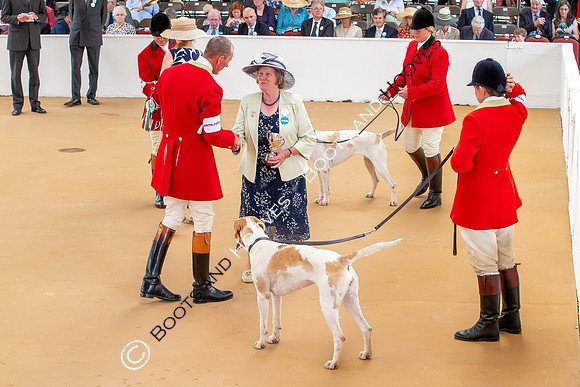 Festival of Hunting