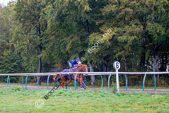 Newmarket