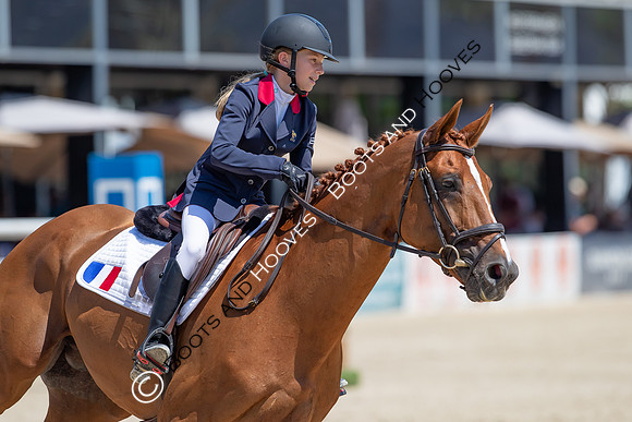 FEI Junior European Championship Young Riders, Juniors & Childre