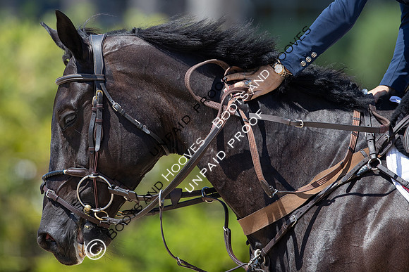 FEI Junior European Championship Young Riders, Juniors & Childre