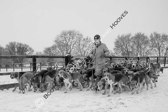 Hound Exercise