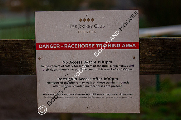 Newmarket