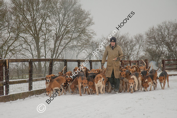 Hound Exercise