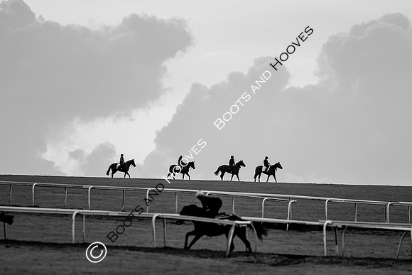 Newmarket