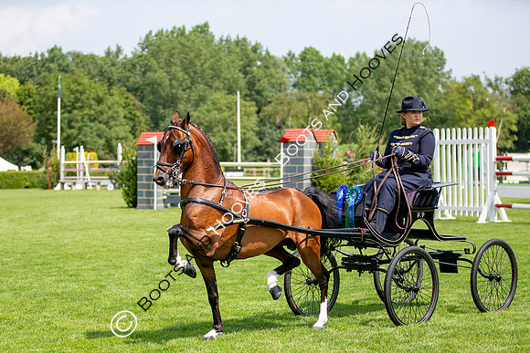 The Prenetics Royal International Horse Show