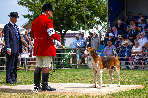 Festival of Hunting